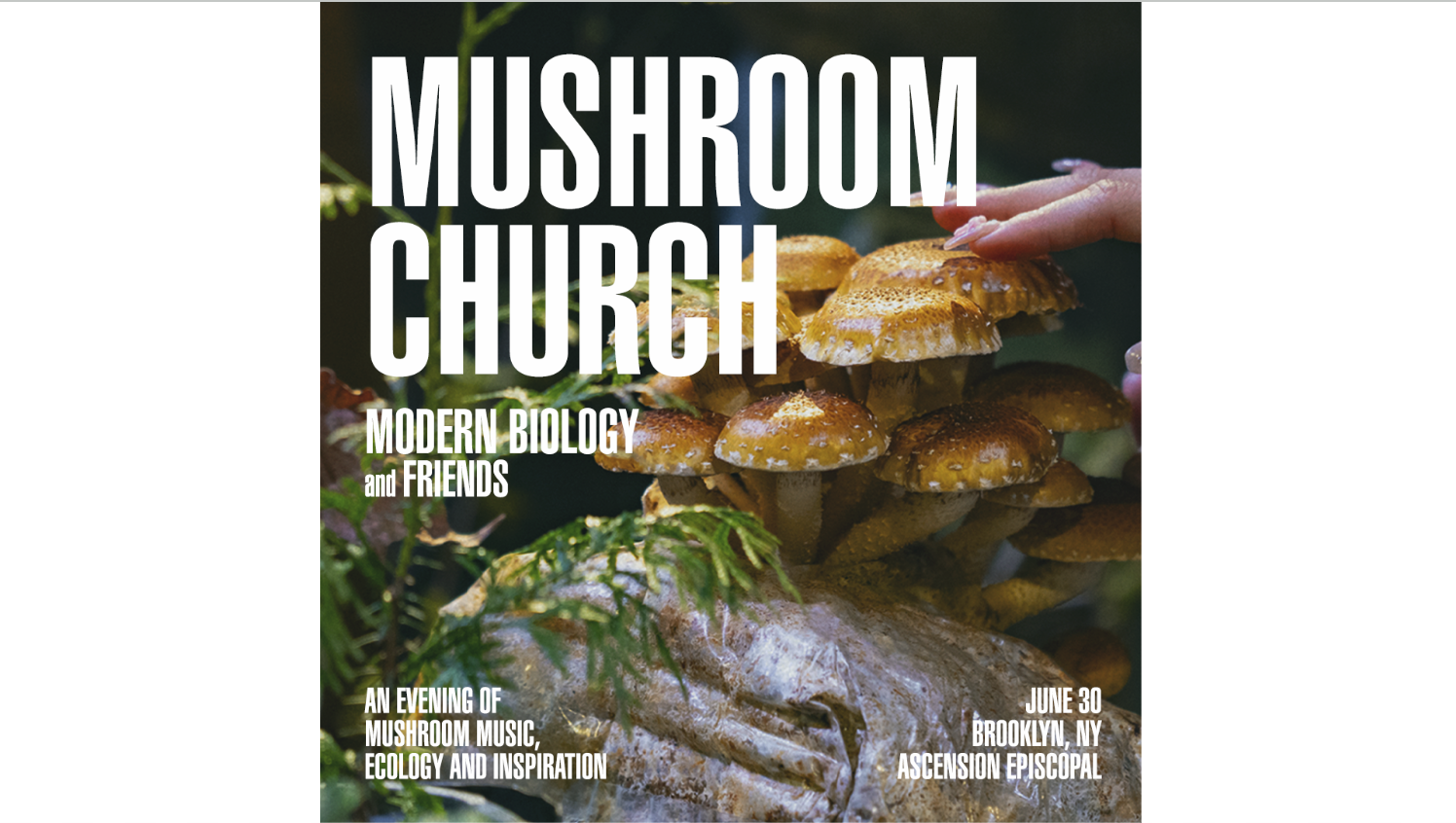 Mushroom church event