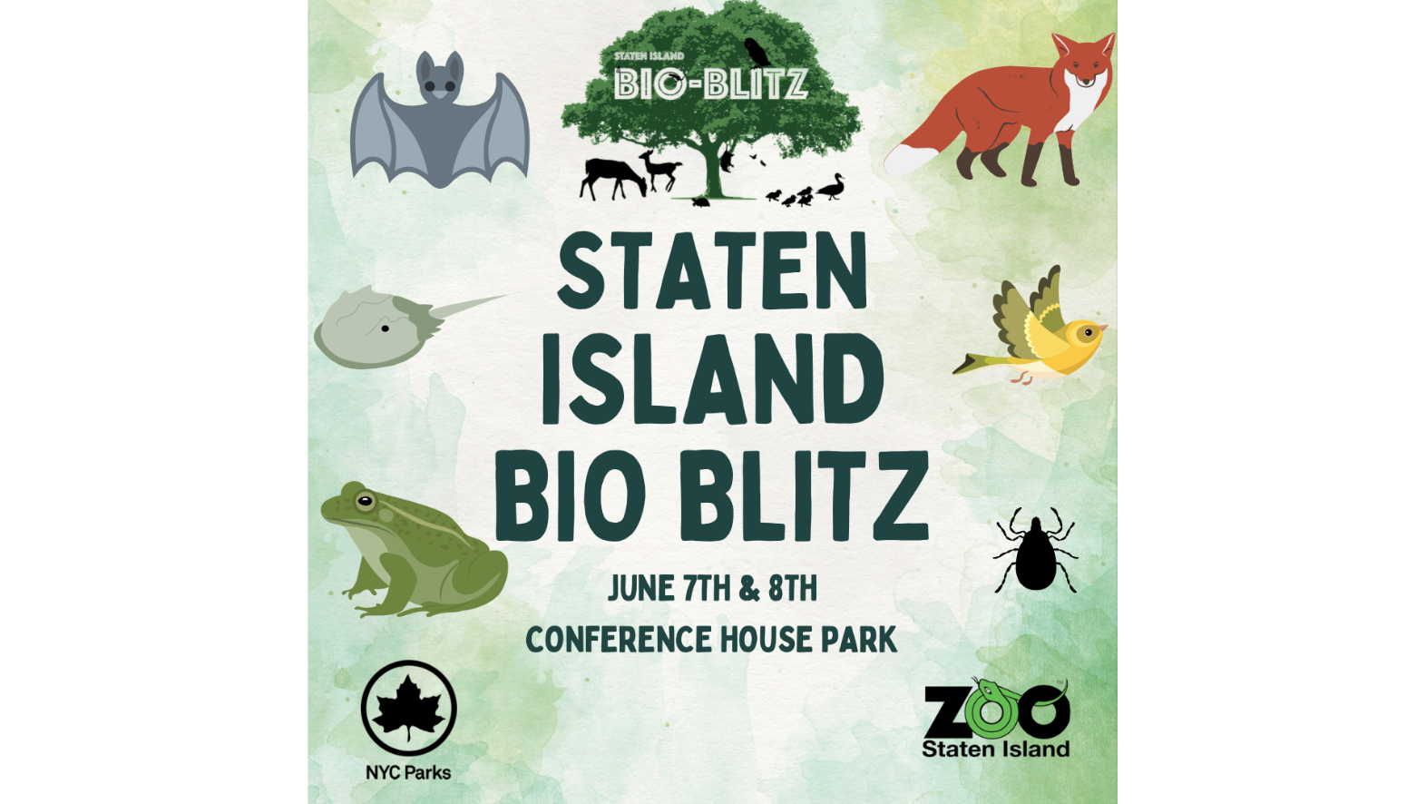 Events_Staten-Island-Bio-Blitz