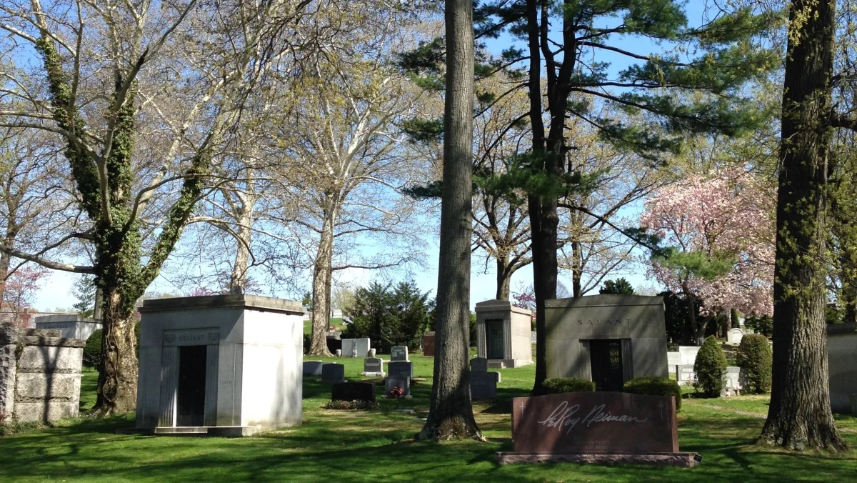 Woodlawn trees