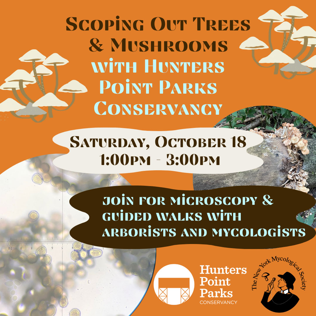 Full poster for Hunt's Point Mushroom walk