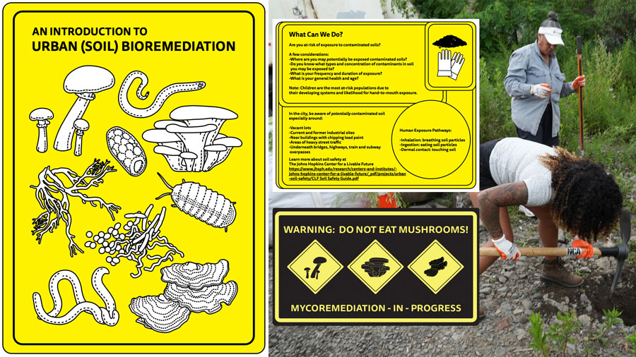 Mycoremediation workshop