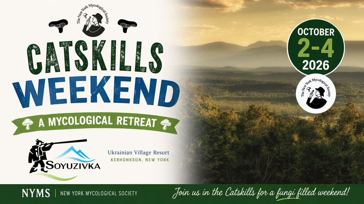 Catskills weekend promo