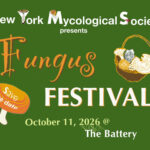 Fungus Fest graphic