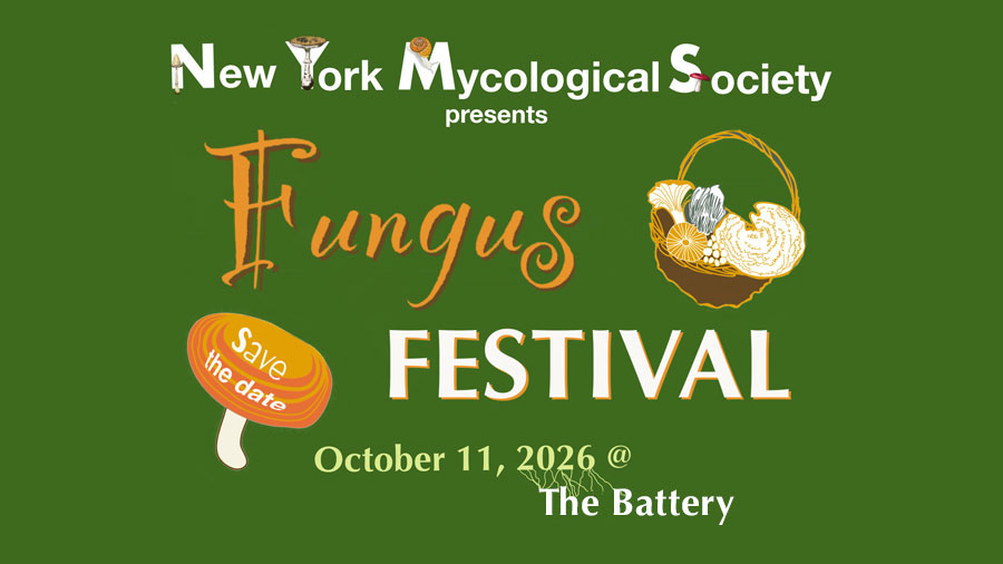 Fungus Fest graphic