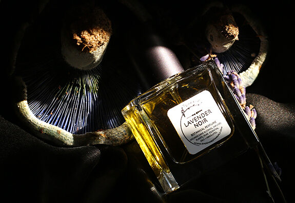 Phoenix Botanicals