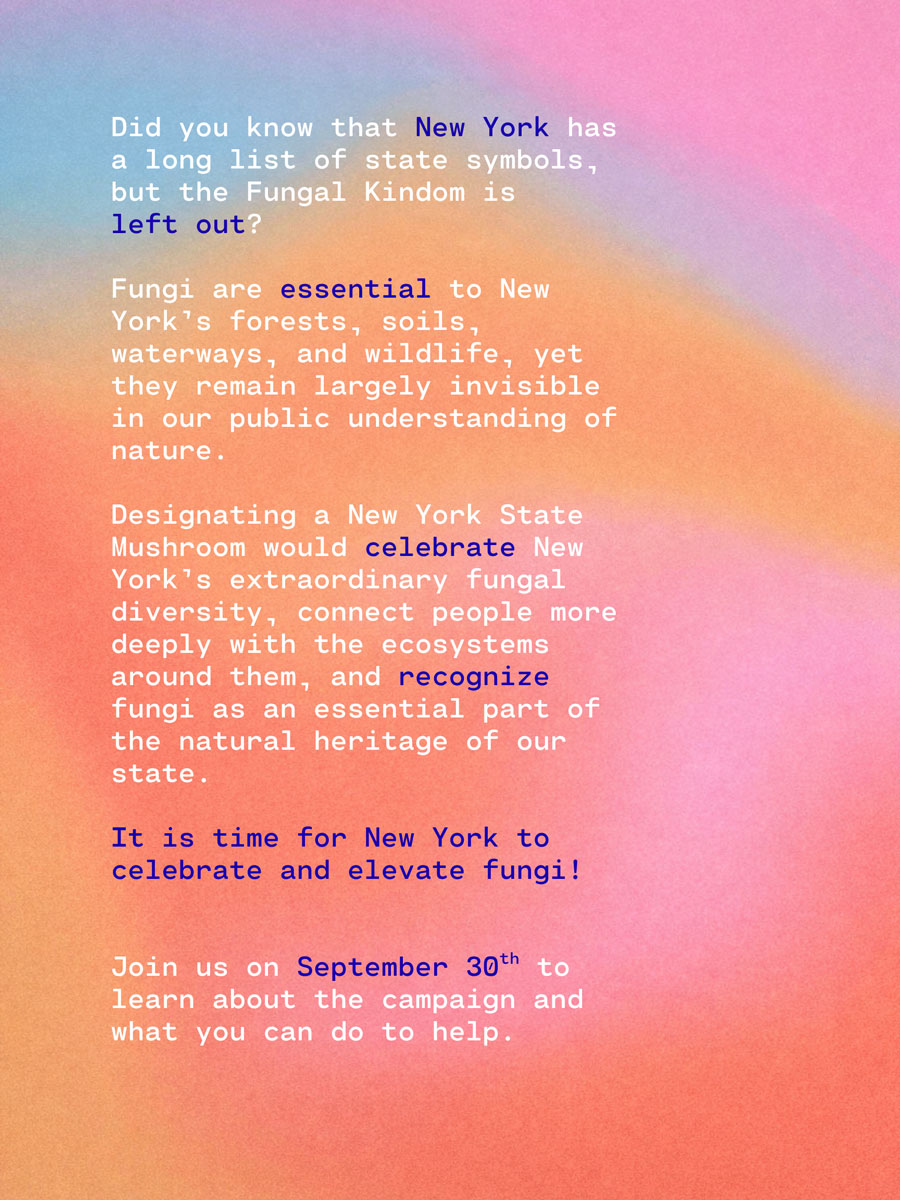 NY State mushroom poster