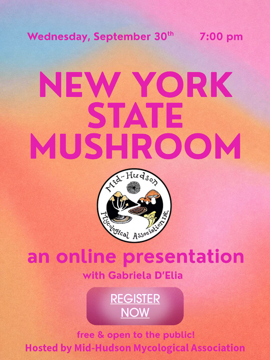 NY State mushroom poster