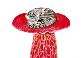 Life Art Fungi