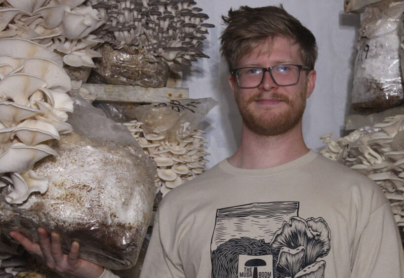 Mushroom shop