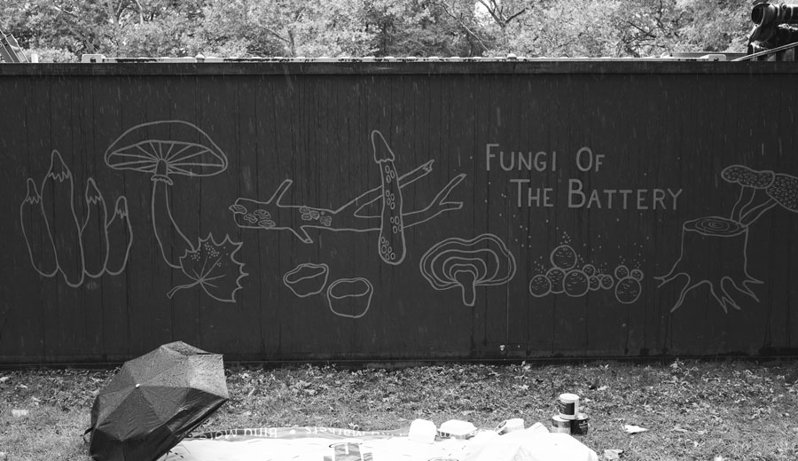 Fungus Fest Mural