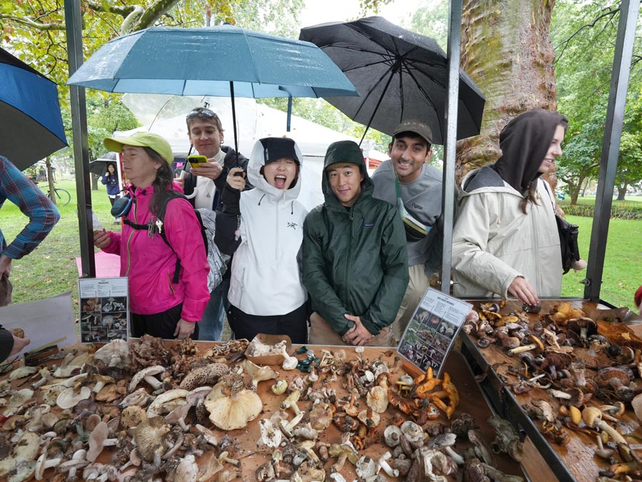 visitors to Fungus Festival with umbrellas