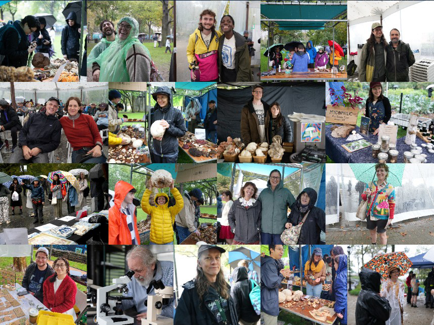 a collage of people enjoying Fungus Festival