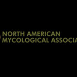 NAMA logo