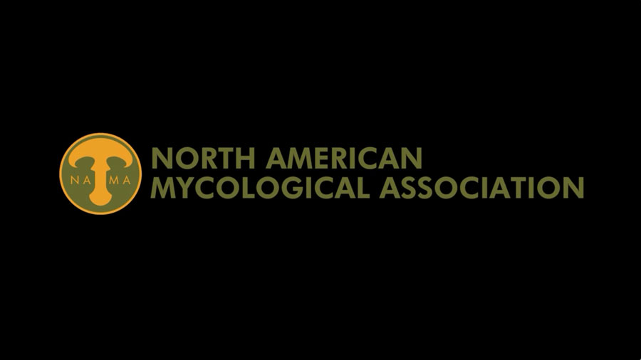 NAMA logo